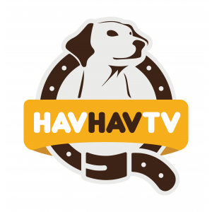 Havhav TV